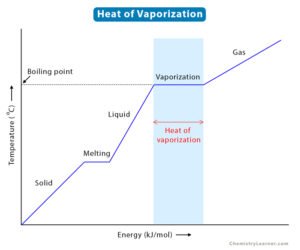 Beyond Evaporation: The Deep Dive into Moisture and Heat Transfer in Pyrolysis
